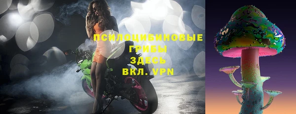 прущие грибы Протвино